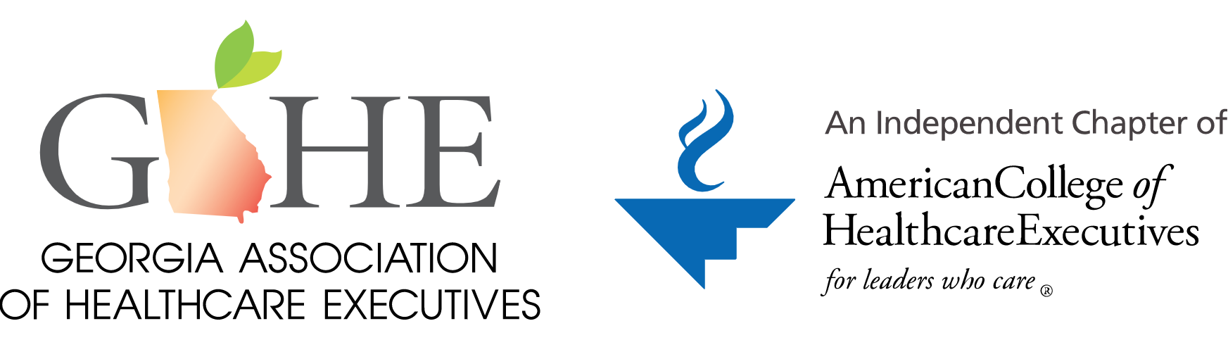 Association of Healthcare Executives The Official